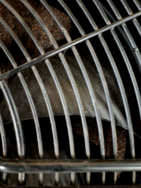Ventilator